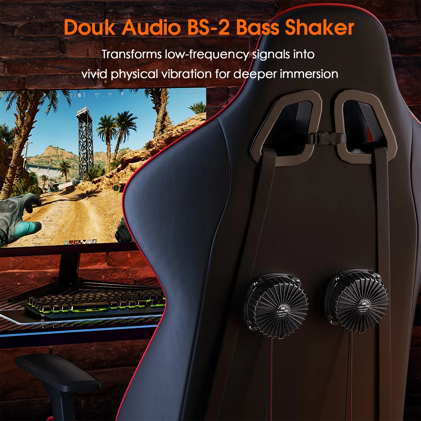 Douk Audio BS-2 30W 4Ω Bass Sh - Home Cinema Installation 评论和价格