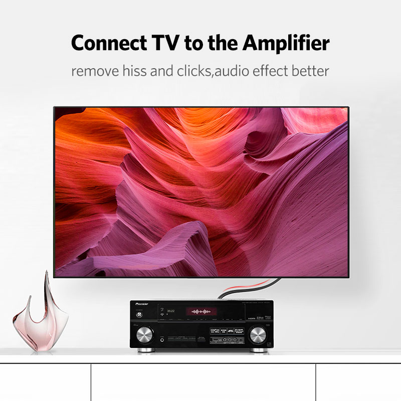 UGREEN 2RCA to 2 RCA Male to M - Home Cinema Idea 评论和价格
